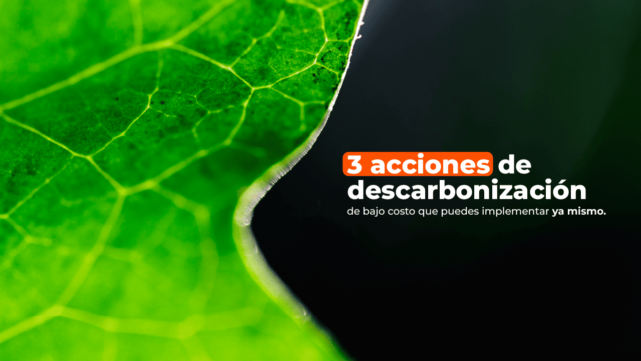 Imagen Hero